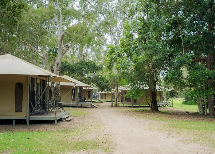 Kangarooms Noosa Everglades